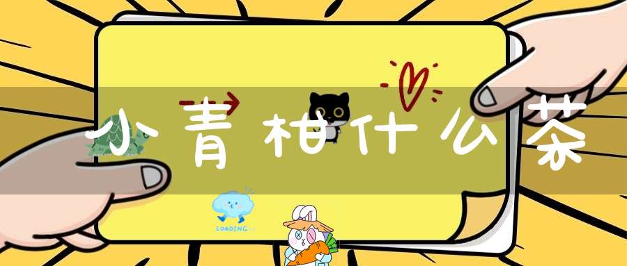 小青柑什么茶