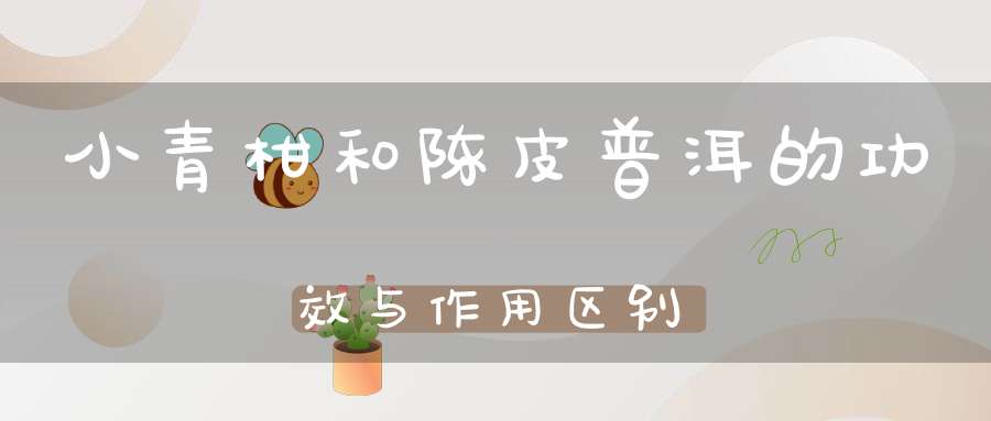 小青柑和陈皮普洱的功效与作用区别