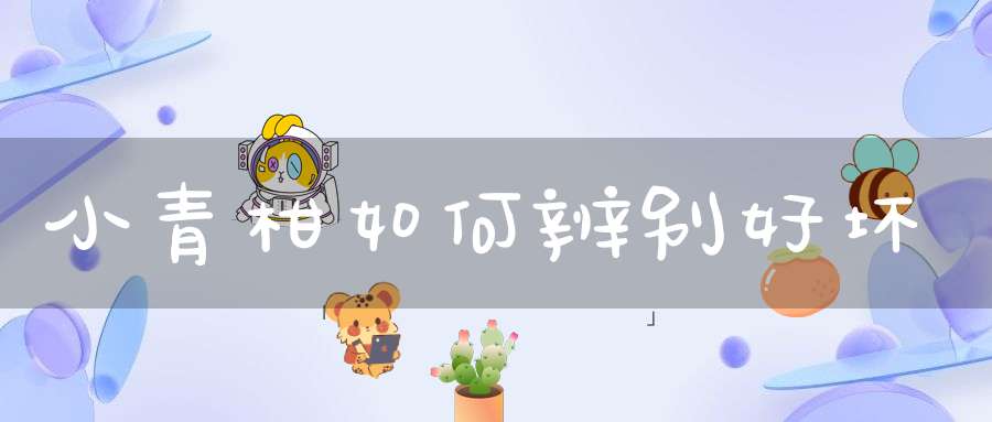 小青柑如何辨别好坏