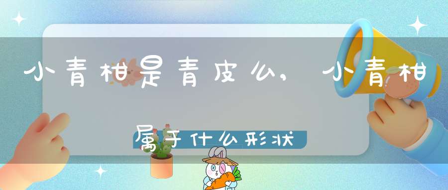 小青柑是青皮么,小青柑属于什么形状