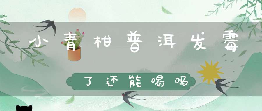 小青柑普洱发霉了还能喝吗