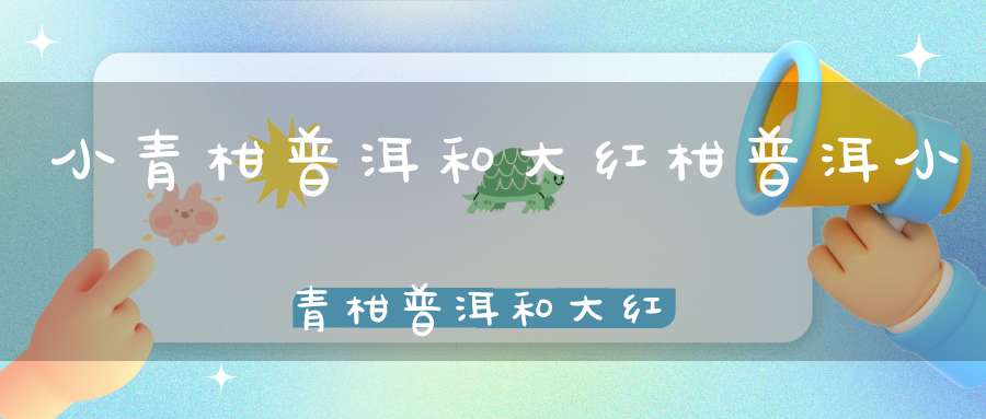 小青柑普洱和大红柑普洱小青柑普洱和大红茶区别