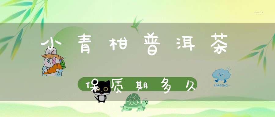 小青柑普洱茶保质期多久