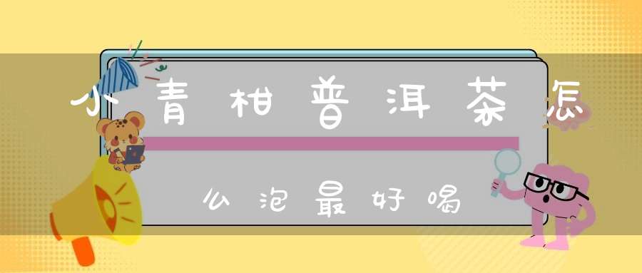 小青柑普洱茶怎么泡最好喝