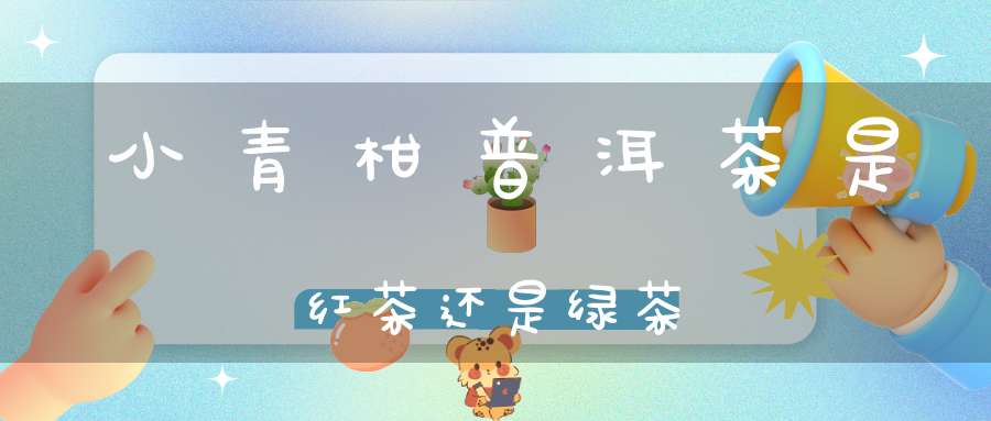 小青柑普洱茶是红茶还是绿茶