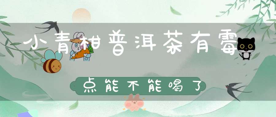 小青柑普洱茶有霉点能不能喝了