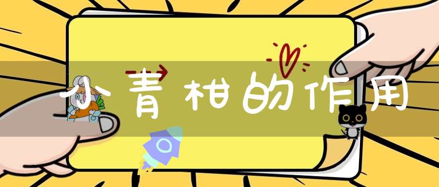 小青柑的作用