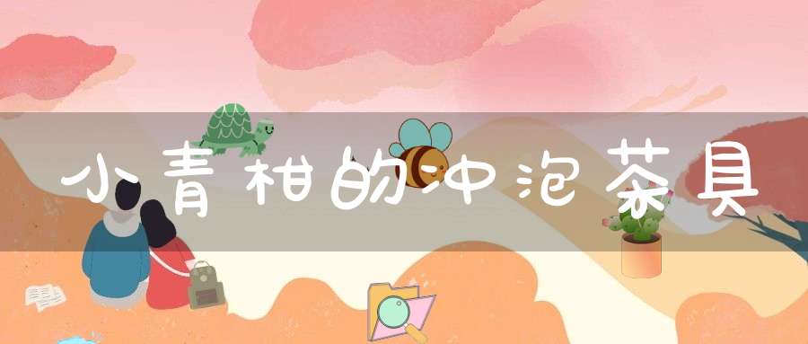 小青柑的冲泡茶具