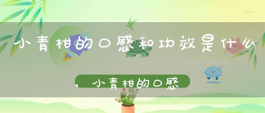 小青柑的口感和功效是什么,小青柑的口感和功效作用