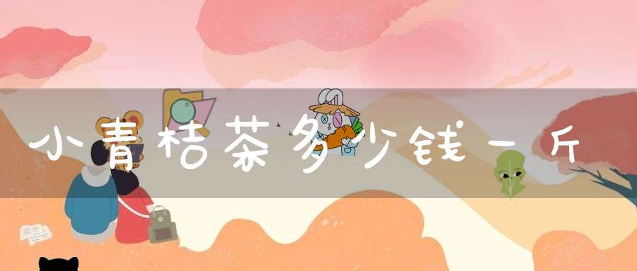 小青桔茶多少钱一斤