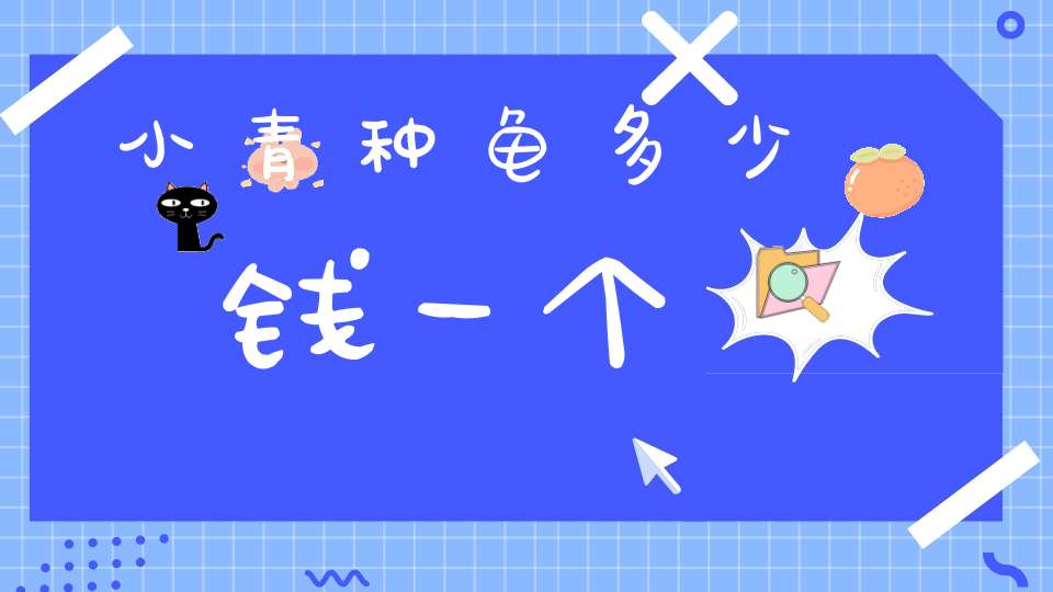 小青种龟多少钱一个