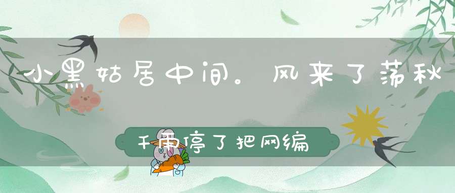 小黑姑，居中间。风来了，荡秋千，雨停了，把网编。 （猜一动物）