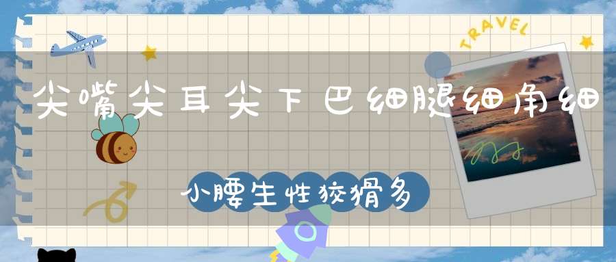 尖嘴尖耳尖下巴，细腿细角细小腰，生性狡猾多猜疑，尾后拖着一丛