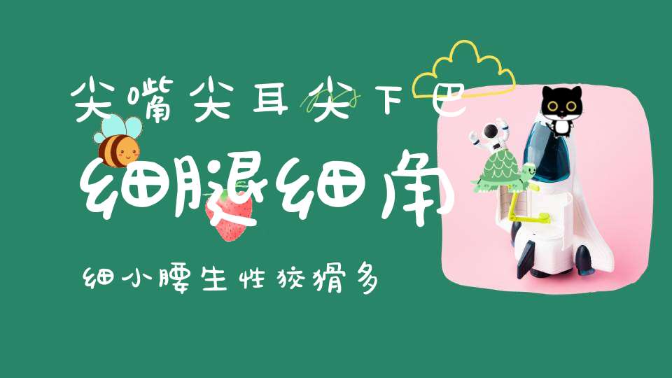 尖嘴尖耳尖下巴，细腿细角细小腰，生性狡猾多猜疑，尾後拖着一丛
