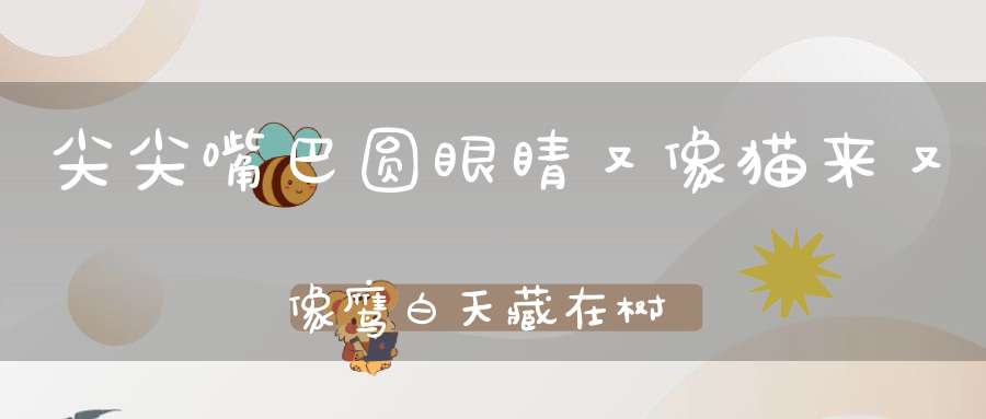 尖尖嘴巴圆眼睛，又像猫来又像鹰，白天藏在树林里，夜晚出来捕鼠勤。 （猜一动物）