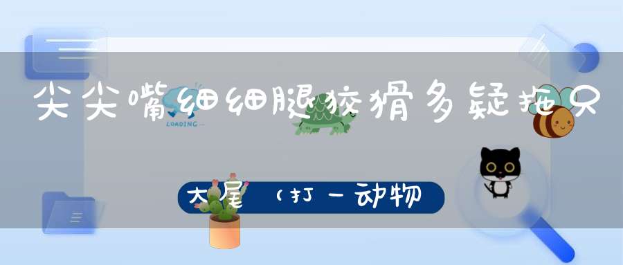 尖尖嘴，细细腿，狡猾多疑，拖只大尾（打一动物）