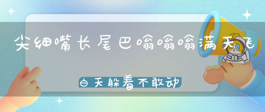 尖细嘴长尾巴，嗡嗡嗡满天飞，白天躲着不敢动，也里出来吸血乐。