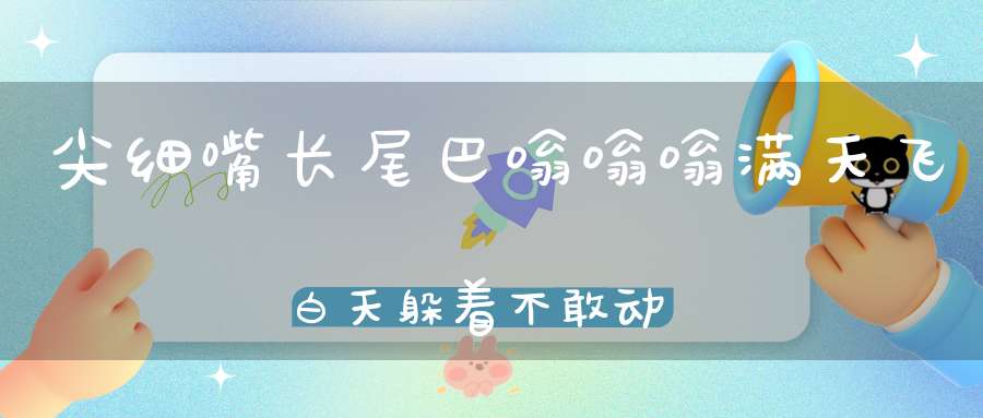 尖细嘴长尾巴，嗡嗡嗡满天飞，白天躲着不敢动，也里出来吸血乐（