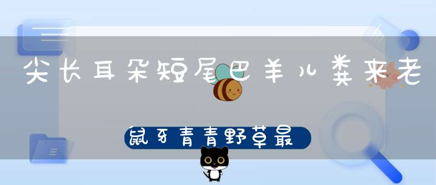 尖长耳朵短尾巴，羊儿粪来老鼠牙，青青野草最爱吃，每胎儿女过半猜。 （猜一动物）