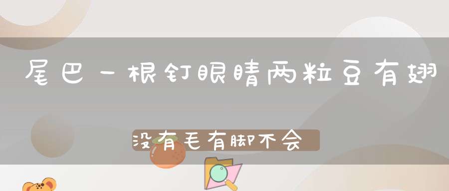 尾巴一根钉，眼睛两粒豆，有翅没有毛，有脚不会走（打一动物）