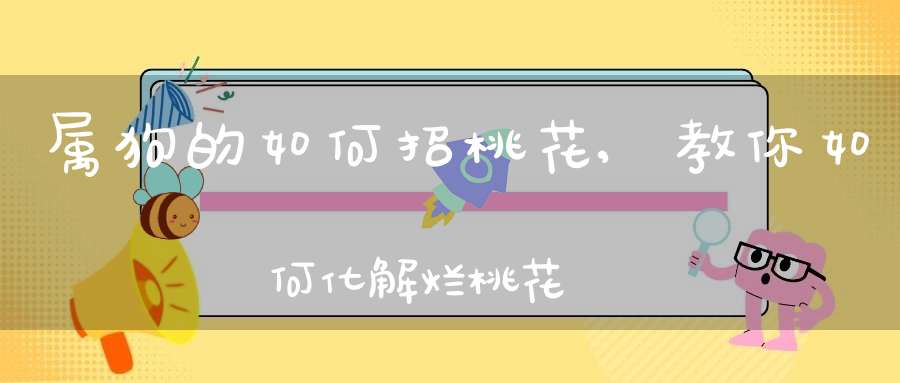 属狗的如何招桃花,教你如何化解烂桃花