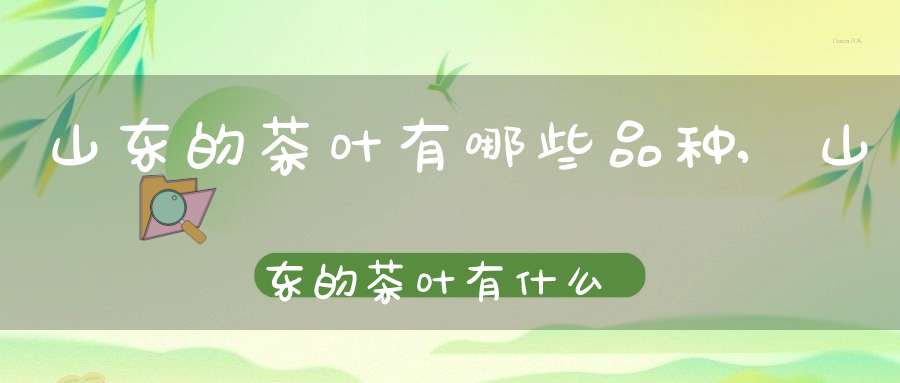 山东的茶叶有哪些品种,山东的茶叶有什么特点