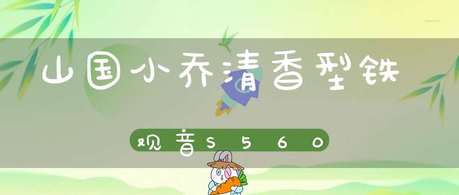 山国小乔清香型铁观音S560