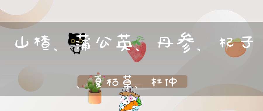 山楂、蒲公英、丹参、杞子、夏枯草、杜仲、赤芍、芦根的方子能减肥吗？