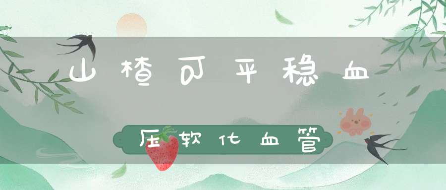 山楂可平稳血压软化血管