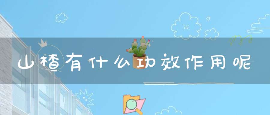 山楂有什么功效作用呢？