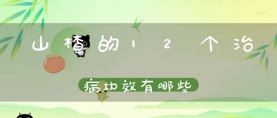 山楂的12个治病功效有哪些