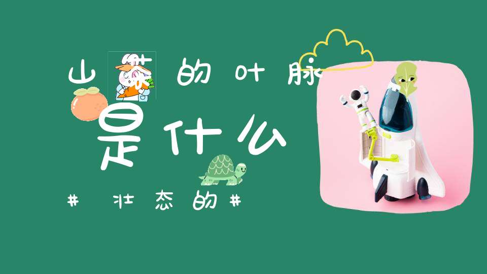 山茶的叶脉是什么壮态的