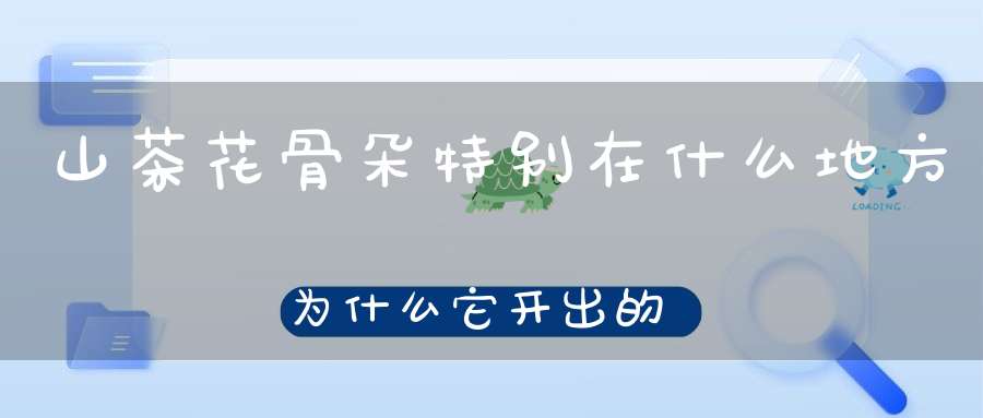 山茶花骨朵特别在什么地方?为什么它开出的花会那么美?,山茶花的花骨朵是什么样子的