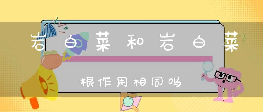 岩白菜和岩白菜根作用相同吗？