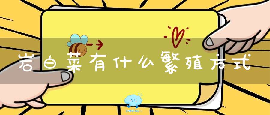 岩白菜有什么繁殖方式？