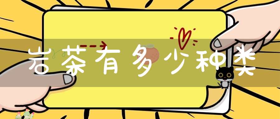 岩茶有多少种类