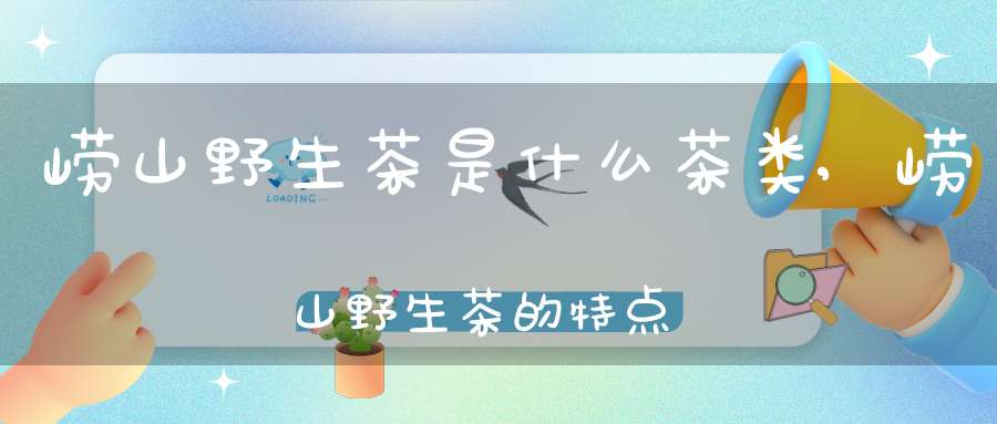 崂山野生茶是什么茶类,崂山野生茶的特点和口味