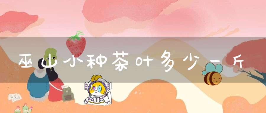 巫山小种茶叶多少一斤