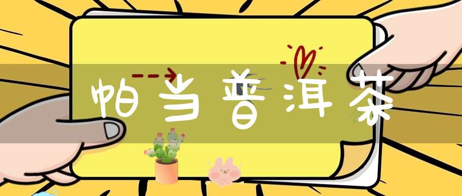 帕当普洱茶