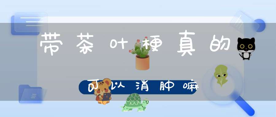 带茶叶梗真的可以消肿嘛