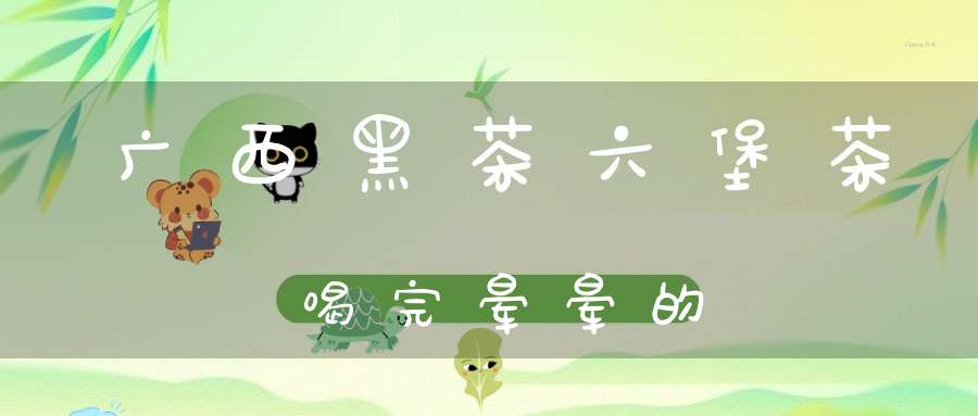 广西黑茶六堡茶喝完晕晕的