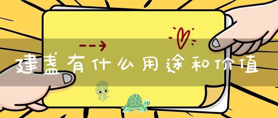建盏有什么用途和价值