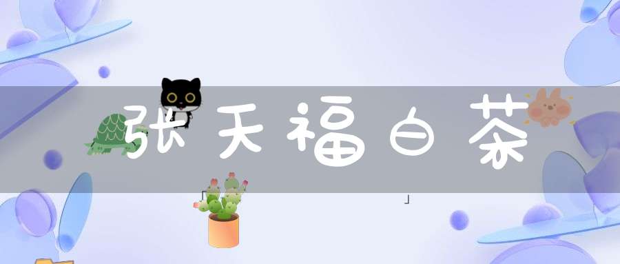 张天福白茶