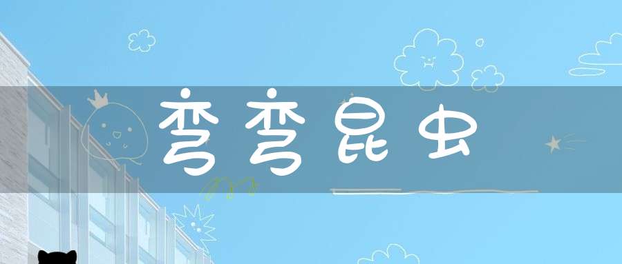 弯弯  昆虫