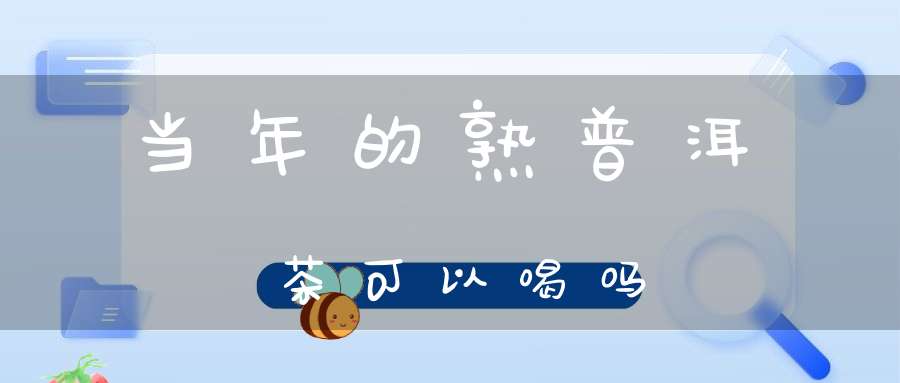 当年的熟普洱茶可以喝吗