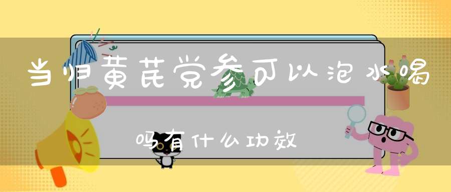 当归黄芪党参可以泡水喝吗有什么功效？