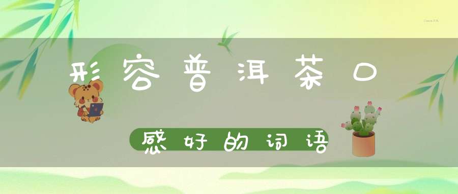 形容普洱茶口感好的词语