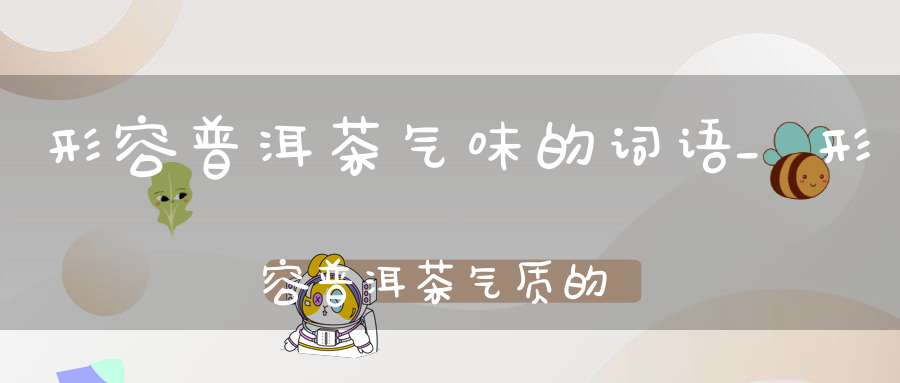 形容普洱茶气味的词语_形容普洱茶气质的词语