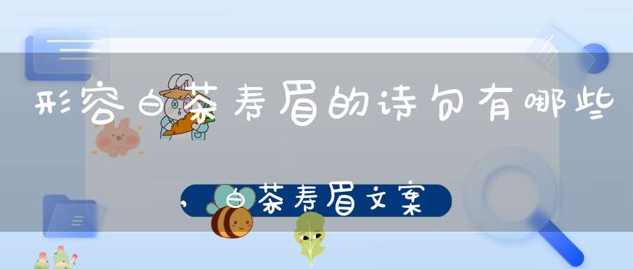 形容白茶寿眉的诗句有哪些,白茶寿眉文案