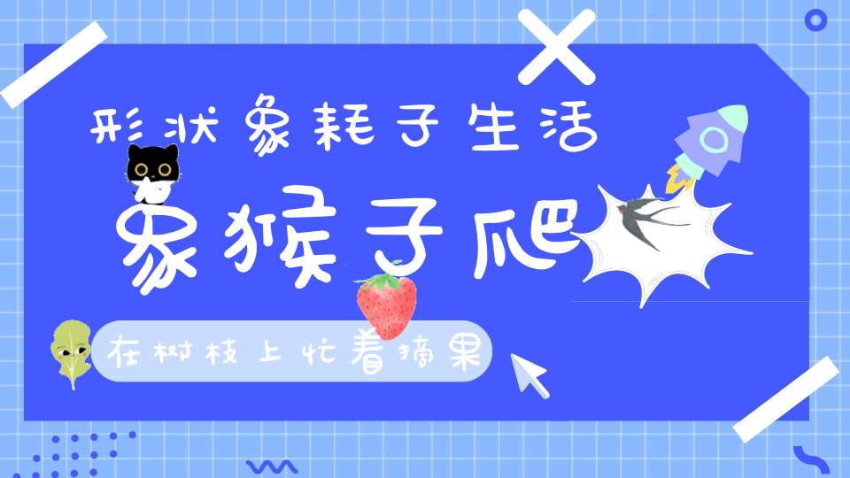 形状象耗子，生活象猴子，爬在树枝上，忙着摘果子（打一动物）